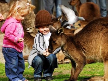 Ballarat Discovery Day Tour