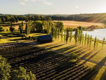 Daylesford & Castlemaine Discovery Day Tour