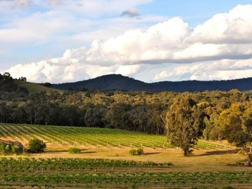 Pyrenees Winery Day Tour