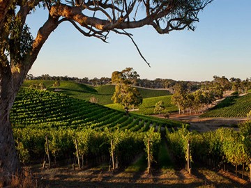 South Eastern Australia Discovery Tour