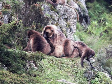 Awash National Park and Harar