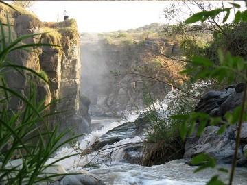 Awash National Park and Harar