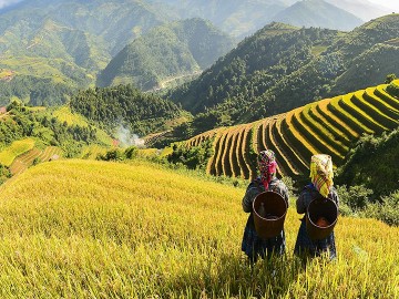 Travel from Vietnam to Cambodia