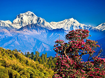 Nepal Bhutan and Tibet Tour